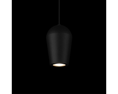 10357/5 Подвесной светильник LOFT IT Blackout
