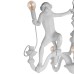 10314 White Подвесной светильник LOFT IT Monkey