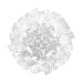 10594/780C White Потолочный светильник LOFT IT Clizia