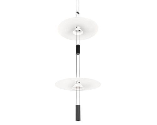 10598A Подвесной светильник LOFT IT Flamingo