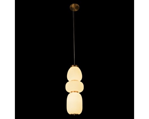 10422/C Подвесной светильник LOFT IT Duff