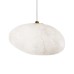 10531C Подвесной светильник LOFT IT Fionora