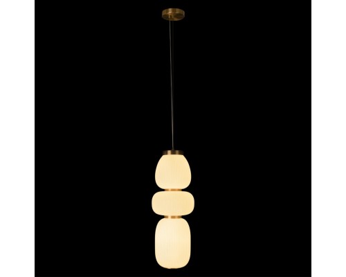 10422/C Подвесной светильник LOFT IT Duff