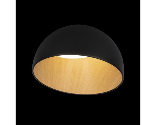 10197/350 Black Потолочный светильник LOFT IT Egg