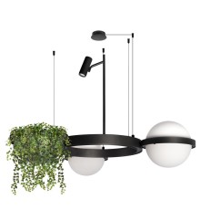 10121/2 Подвесной светильник LOFT IT Jardin