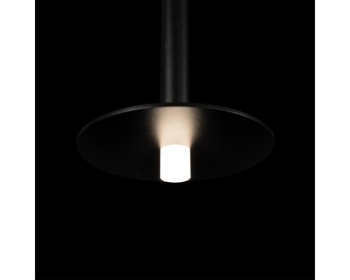 10358/830 Disk Подвесной светильник LOFT IT Reed