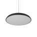 10371P Black Подвесной светильник LOFT IT Dime