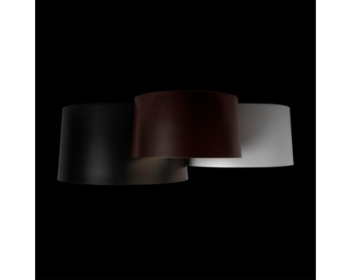 10360/3 Потолочный светильник LOFT IT Duo