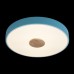 10003/24 Blue Светильник потолочный LOFTIT Axel