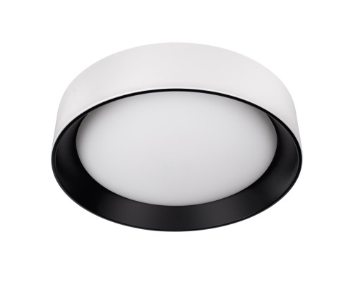 10202 WB  Потолочный светильник  LOFT IT Coin