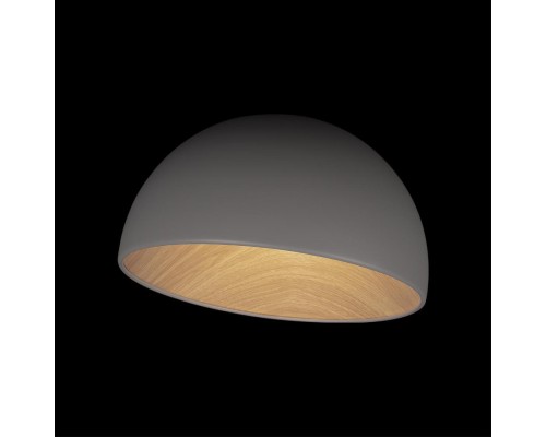 10197/350 Grey Потолочный светильник LOFT IT Egg