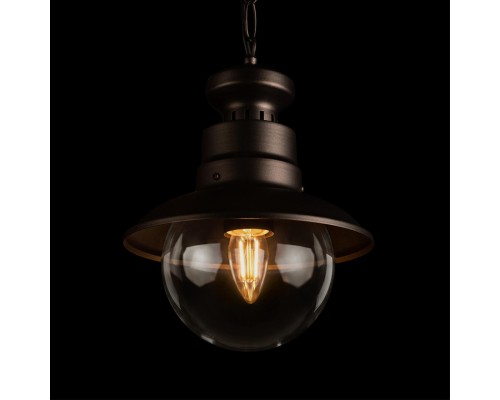 100022P Уличный подвесной светильник LOFT IT Piemonte