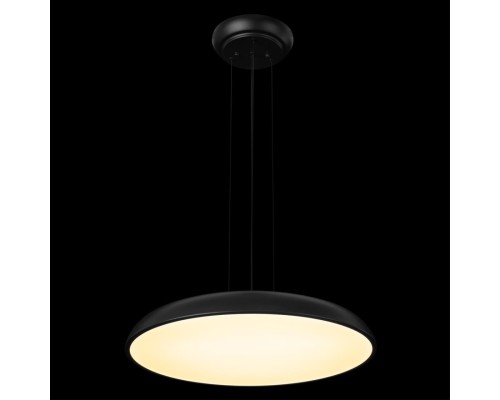 10371P Black Подвесной светильник LOFT IT Dime