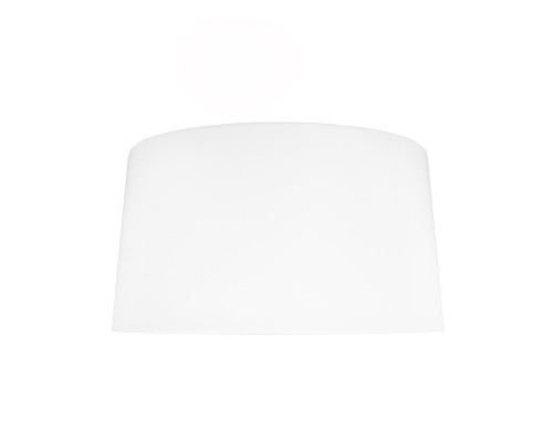 10360L White Потолочный светильник LOFT IT Duo