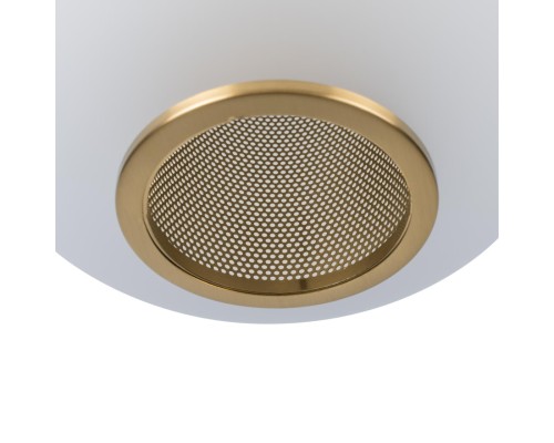 10425 White Подвесной светильник LOFT IT Hive