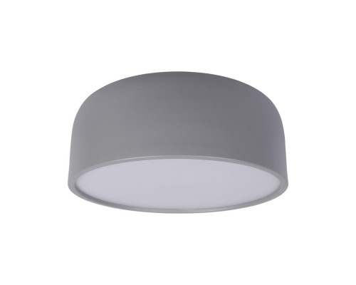 10201/350 Grey Потолочные светильники LOFT IT Axel