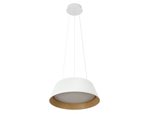 10224P White Подвесной светильник LOFT IT Evans