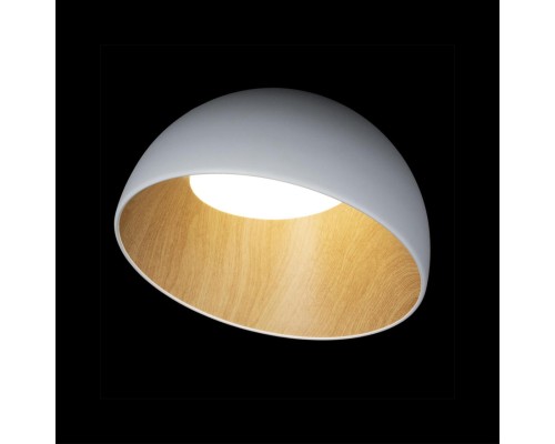 10197/350 White Потолочный светильник LOFT IT Egg