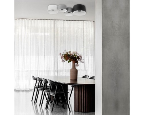 10360L White Потолочный светильник LOFT IT Duo