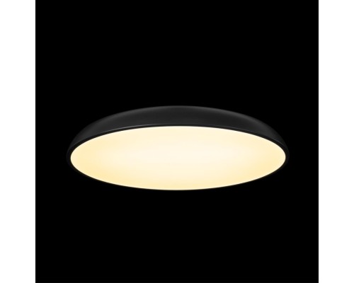 10371 Black Потолочный светильник LOFT IT Dime