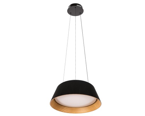 10224P Black Подвесной светильник LOFT IT Evans