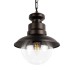 100022P Уличный подвесной светильник LOFT IT Piemonte