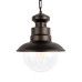 100022P Уличный подвесной светильник LOFT IT Piemonte