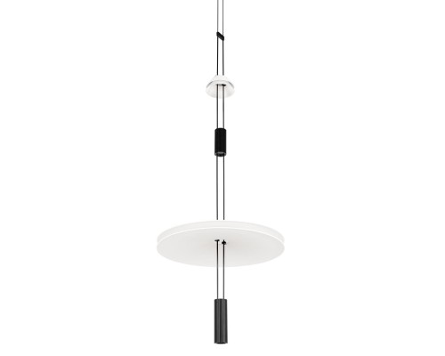 10598B Подвесной светильник LOFT IT Flamingo