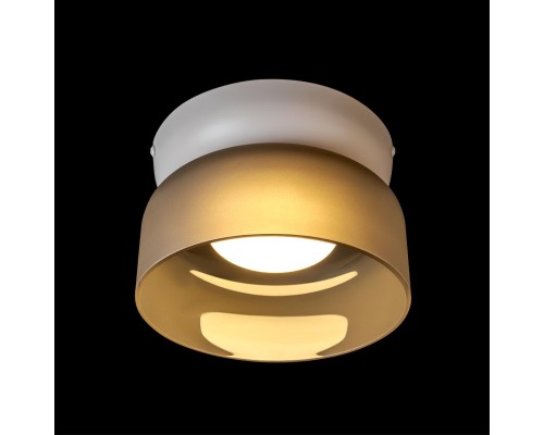 10466 Smoke matte Потолочный светильник LOFT IT Totem