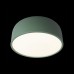 10201/350 Green Потолочные светильники LOFT IT Axel