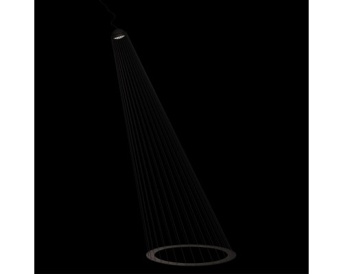 10292/C Black Подвесной светильник LOFT IT Beam