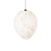 10531E Подвесной светильник LOFT IT Fionora