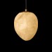 10531E Подвесной светильник LOFT IT Fionora