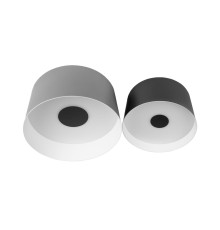 10360/2 Потолочный светильник LOFT IT Duo