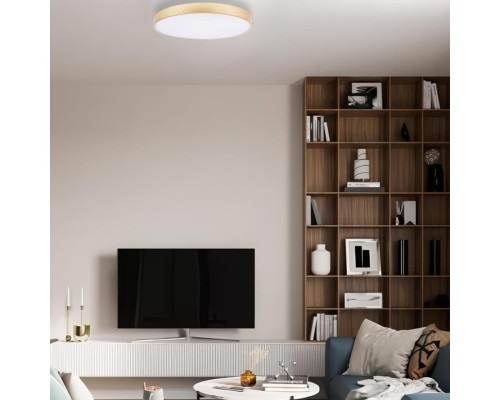 10228/A Потолочный светильник LOFT IT Flims