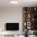 10228/A Потолочный светильник LOFT IT Flims