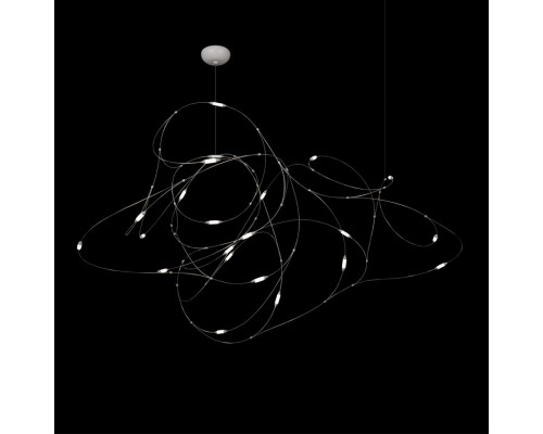 10309/21 CR Подвесной светильник LOFT IT Flock of Light