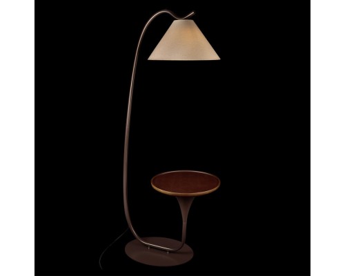 10568F Brown Торшер LOFT IT Charlotte