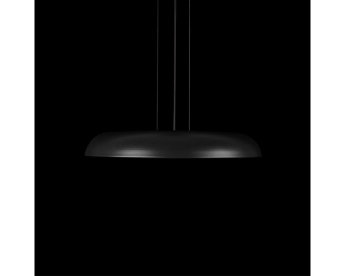 10371P Black Подвесной светильник LOFT IT Dime