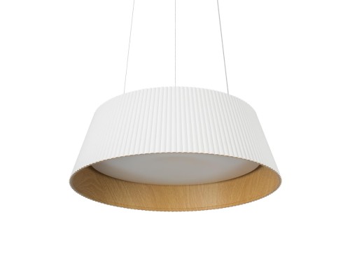 10224P White Подвесной светильник LOFT IT Evans