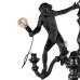 10314 Black Подвесной светильник LOFT IT Monkey