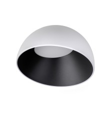 10197/350 WB  Потолочный светильник  LOFT IT Egg