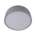 10201/350 Grey Потолочные светильники LOFT IT Axel