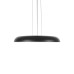 10371P Black Подвесной светильник LOFT IT Dime