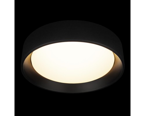 10202 BB  Потолочный светильник  LOFT IT Coin