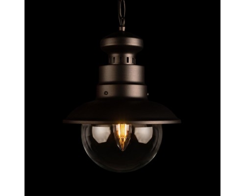 100022P Уличный подвесной светильник LOFT IT Piemonte