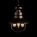 100022P Уличный подвесной светильник LOFT IT Piemonte