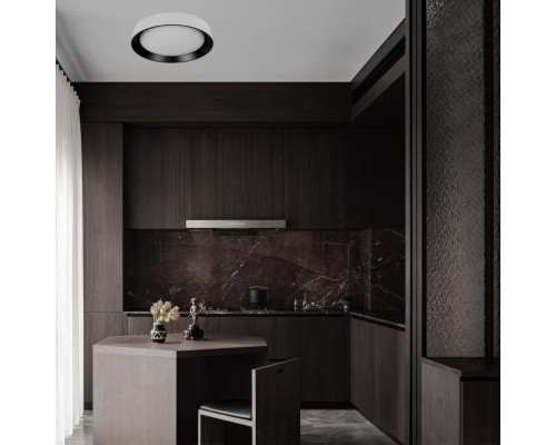 10202 WB  Потолочный светильник  LOFT IT Coin