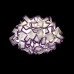 10231/530C Purple Потолочный светильник LOFT IT Clizia