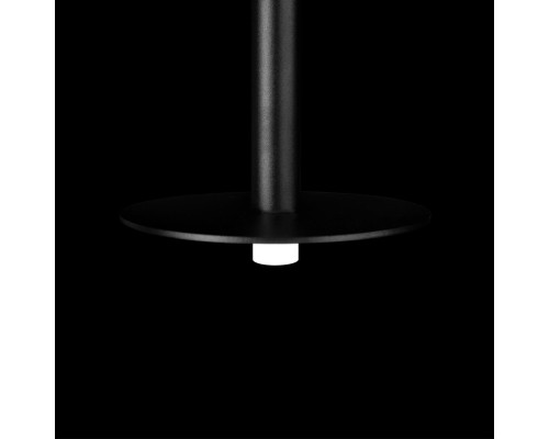 10358/830 Disk Подвесной светильник LOFT IT Reed